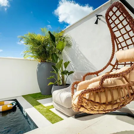 New Olivos アデヘ