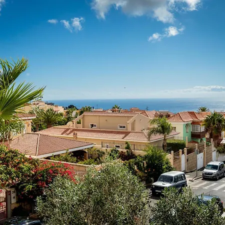 New Olivos * アデヘ