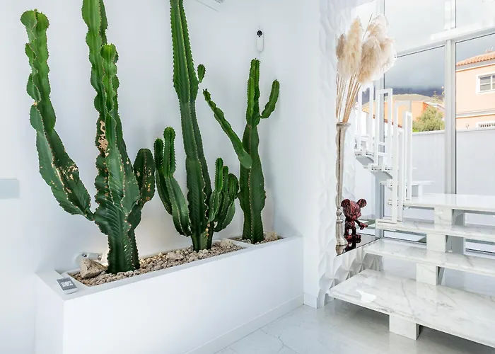 New Olivos Costa Adeje (Tenerife)